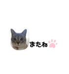 2021あき（個別スタンプ：14）