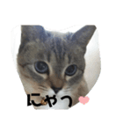 2021あき（個別スタンプ：16）