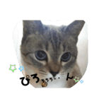 2021あき（個別スタンプ：18）