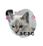 2021あき（個別スタンプ：22）