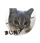 2021あき（個別スタンプ：24）