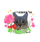 2021あき（個別スタンプ：26）
