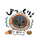 2021あき（個別スタンプ：29）