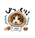 2021あき（個別スタンプ：31）