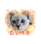 2021あき（個別スタンプ：35）
