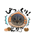 2021あき（個別スタンプ：36）