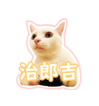 治郎吉スタンプ富山弁（個別スタンプ：1）