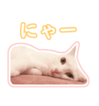 治郎吉スタンプ富山弁（個別スタンプ：2）