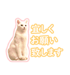 治郎吉スタンプ富山弁（個別スタンプ：5）