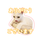 治郎吉スタンプ富山弁（個別スタンプ：6）