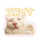 治郎吉スタンプ富山弁（個別スタンプ：7）