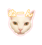 治郎吉スタンプ富山弁（個別スタンプ：8）