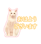 治郎吉スタンプ富山弁（個別スタンプ：11）
