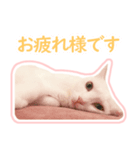 治郎吉スタンプ富山弁（個別スタンプ：12）