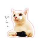 治郎吉スタンプ富山弁（個別スタンプ：13）