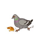 パンどら（個別スタンプ：11）