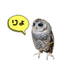 シャベルの仲間たち（個別スタンプ：1）