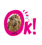 シャベルの仲間たち（個別スタンプ：6）