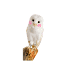 シャベルの仲間たち（個別スタンプ：8）