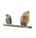 シャベルの仲間たち（個別スタンプ：9）