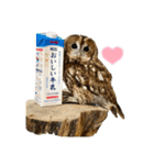 シャベルの仲間たち（個別スタンプ：13）