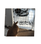 rabbtstamp（個別スタンプ：18）