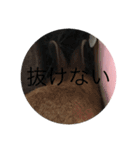 rabbtstamp（個別スタンプ：23）