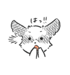 ぽむです！（個別スタンプ：17）