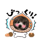 毎日キュートなめいちゃんスタンプ（個別スタンプ：12）