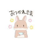 うさぎのきゅたさん（個別スタンプ：1）