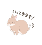 うさぎのきゅたさん（個別スタンプ：3）