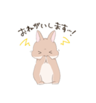 うさぎのきゅたさん（個別スタンプ：5）