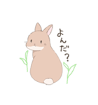 うさぎのきゅたさん（個別スタンプ：12）