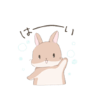 うさぎのきゅたさん（個別スタンプ：13）