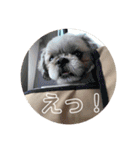 ばんばんばんちゃん（個別スタンプ：16）