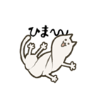 ちょっとシュールなアメーバねこ（個別スタンプ：17）