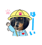 アンアン☆スタンプ⑵（個別スタンプ：2）