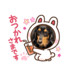アンアン☆スタンプ⑵（個別スタンプ：4）
