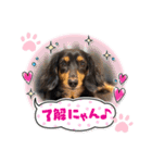 アンアン☆スタンプ⑵（個別スタンプ：9）