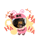 アンアン☆スタンプ⑵（個別スタンプ：12）