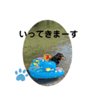 アンアン☆スタンプ⑵（個別スタンプ：14）