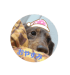 日常ちむちむ（個別スタンプ：6）