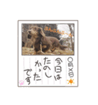 日常ちむちむ（個別スタンプ：7）