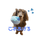 日常ちむちむ（個別スタンプ：20）