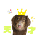 日常ちむちむ（個別スタンプ：26）