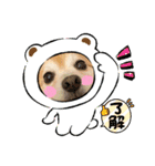 Coco and Mogu（個別スタンプ：5）