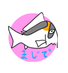 コリドラス！スタンプ（個別スタンプ：15）