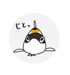 コリドラス！スタンプ（個別スタンプ：16）