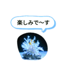 熱帯魚、亀、海月写真、日常会話ぴえーん（個別スタンプ：13）