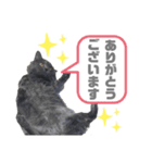 キル君スタンプ2（個別スタンプ：1）